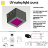 UV curing light